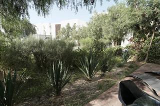 Cocoon Taghazout - 6