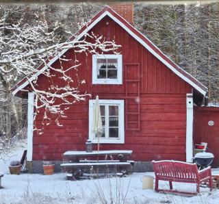 Romantic countryside SAUNA Cottage -  - 0