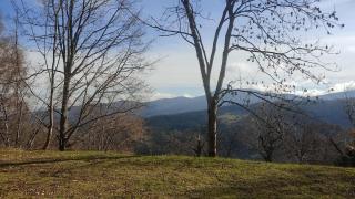 Gite Plénitude Nature et Soins de 1 à 8 personnes - 4