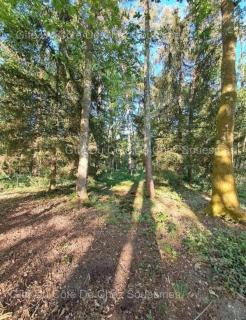 Gîte Du Côté de Chez Souesmes - 2