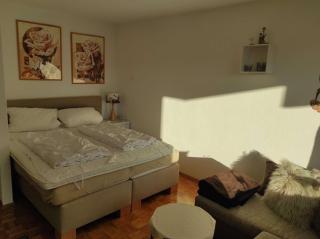 Ferienwohnung Ilse - 3