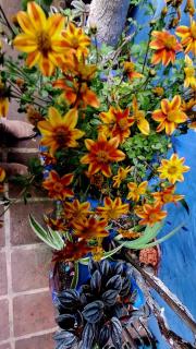 El patio azul Bohemio Mágico - 3