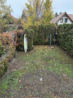 Colorful Life by STN - 3