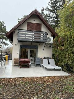 Colorful Life by STN - 6