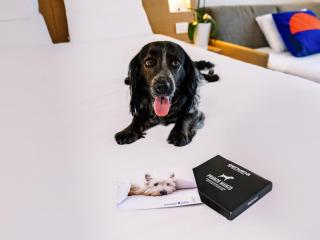 Novotel Venezia Mestre Castellana - 9