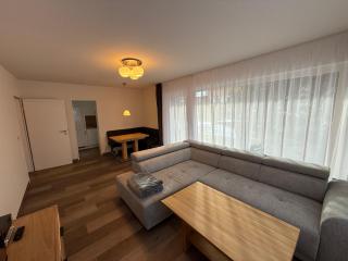 FeWo-Dorfromantik mit KOSTENLOSEN Sommerbergbahntickets - 6