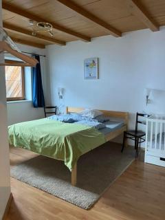 Ferienwohnung Bärfeld - 8