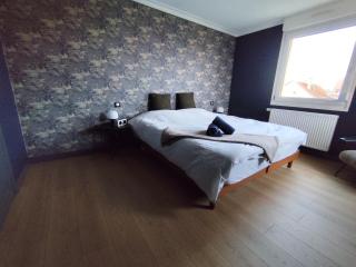 Le loft de la Tour - Appartement 3P prox Centre - Sélestat - 5