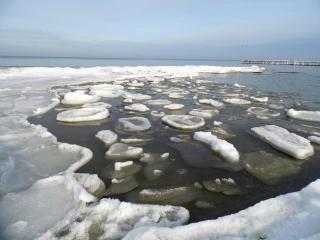 Charlotte Modern Retreat - 2