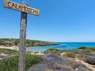 Holiday Home in Floridia with terrace - 4