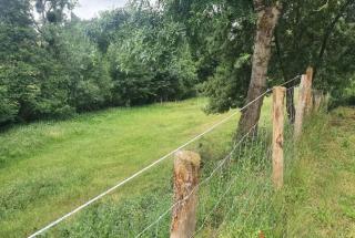 Domaine des 3 Arbres - Nature et tranquillité - 3