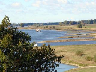 The coziest STALL - 1