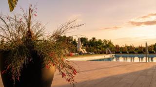 NEW! Luxury 3BR apartment with POOL & FREE parking - 6