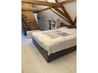 Holiday home with pool and large garden - 5