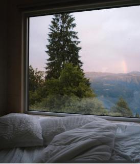 Rallentare immersi nel verde di Cima Lan - 6