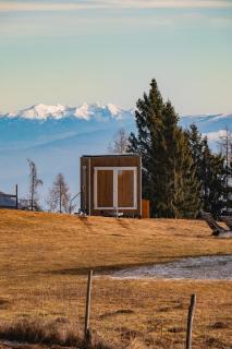 Rallentare immersi nel verde di Cima Lan - 4