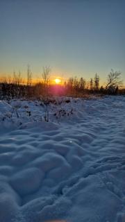 Pension Haus am Wald - 4