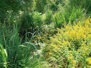"Unnedrin" im Gästehaus Martinshof - 6