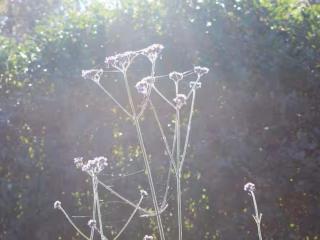 4 person holiday home in LUR - 2