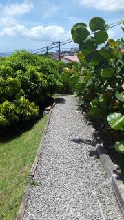 Suite Relax & Business FDF - 1