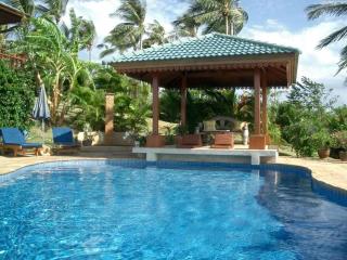Villa in Koh Samui with swimming pool - 9