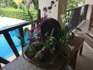 Residence Heppner - 1