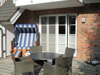 Oasis in the dune yard - 8