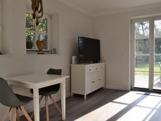 Oasis in the dune yard - 3