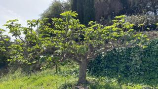 Casita Tierra De Suerte - 6