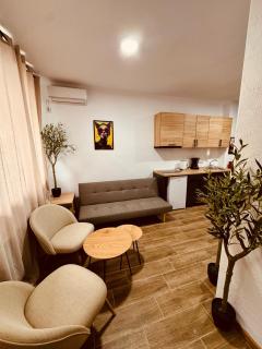 Chirie apartament - 4