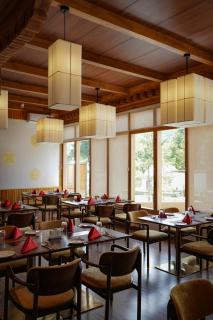 Highland Glamping Luxury Dome tent - 8