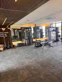 The Grand Harmonia - 3