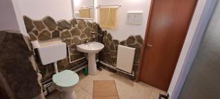 Casa Baciu, Ciungetu-Vâlcea - 9