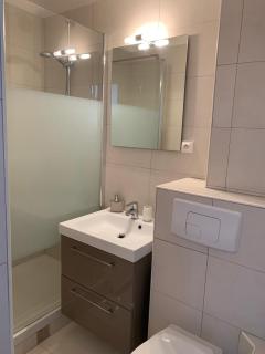 T2 renove vue sur l'etang - 5