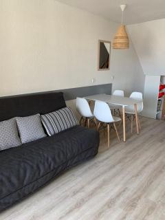 T2 renove vue sur l'etang - 7