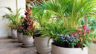 普吉高端康养泳池别墅 - 8