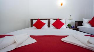 Shady mango villa - 2