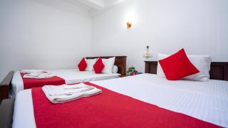 Shady mango villa - 5