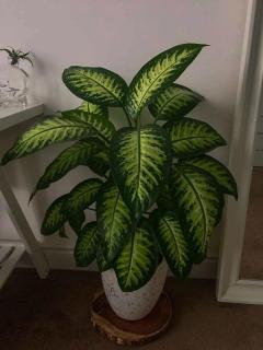 Premium Sonata Hotel Saigon - 6