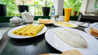 Shady mango villa - 2