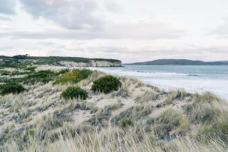 Clifton's Ark - Beautiful Beach House Escape - 1