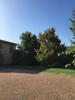 B&B Oasi - San Giorgio di Piano - 8