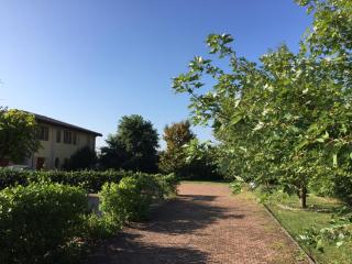 B&B Oasi - San Giorgio di Piano - 6