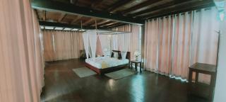 Clio Ella Adventure - 1