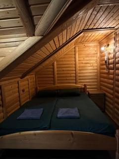 Forest House - Yasinya - 1