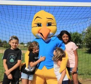 Camping 4 étoiles - Piscine - eeebgi - 1