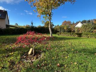 Ferienhof Morich - Urlaub auf dem Bauernhof im Harz - 1