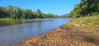 Jackroot Athirapilly Villa's - 2