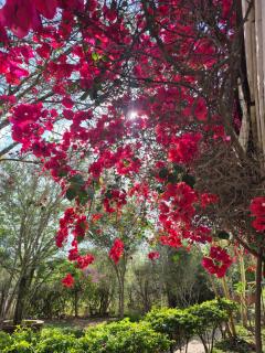 Kitengela Farmhouse - Nairobi - 6