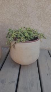 על הגג במדבר - 3